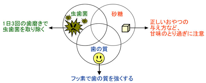 虫歯の原因とその対策